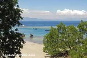 ScubaAroundTheWorld.com - Tips for dive holidays with kids - Bunaken Indonesia