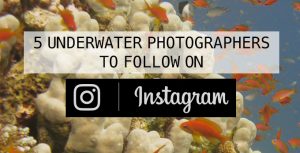 ScubaAroundTheWorld.com - 5 underwater photographers to follow on Instagram